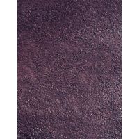 Health Revel 100% Wild Blueberry Powder
